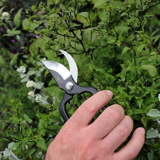 Higurashi puutarhasakset